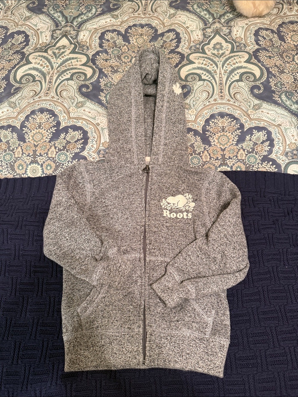 Roots Kids Grey Heather Full-Zip Hoodie